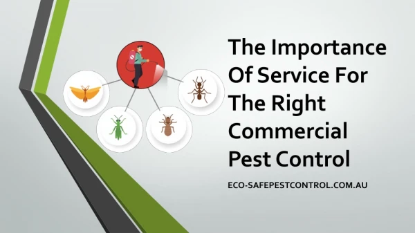 The importance of service for the right commercial pest control