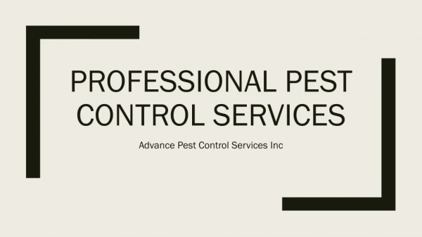 Professional Pest Control Services Bronx NY