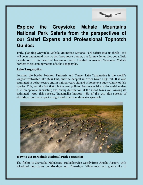 Explore the Greystoke Mahale Mountains National Park Safaris from the perspectives of our Safari Experts and Professiona