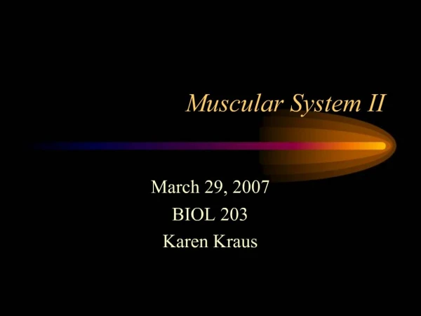 Muscular System II