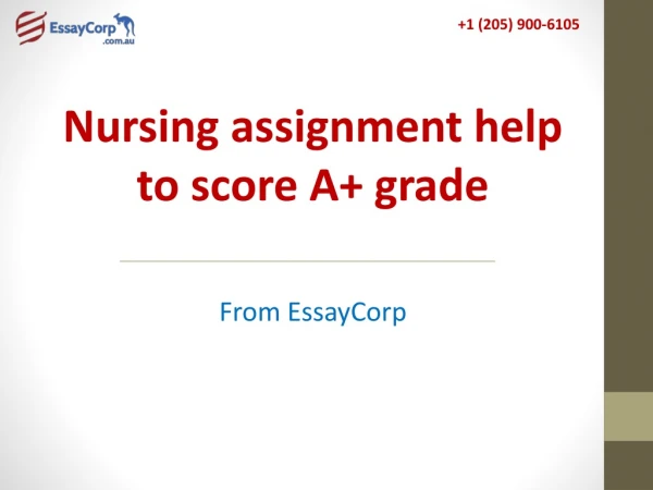 Nursing Assignment Help from top most experts
