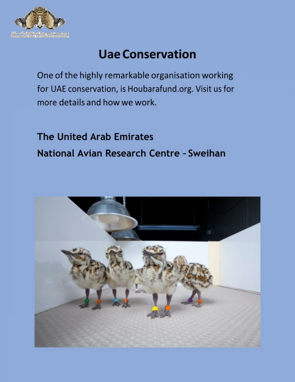 Uae Conservation - Houbarafund