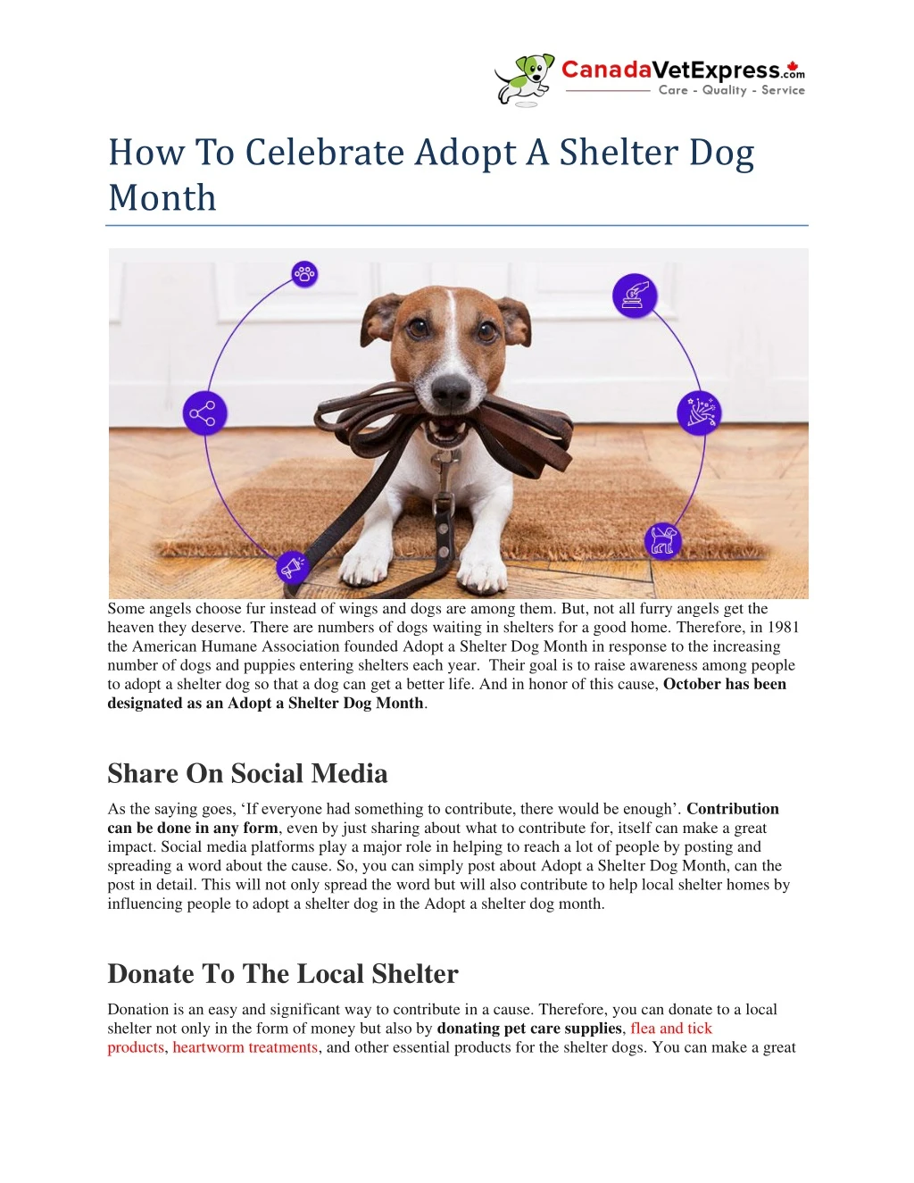 how to celebrate adopt a shelter dog month