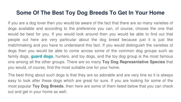 Best Toy Dog Breeds That You Will Love To Bring at Your Home!