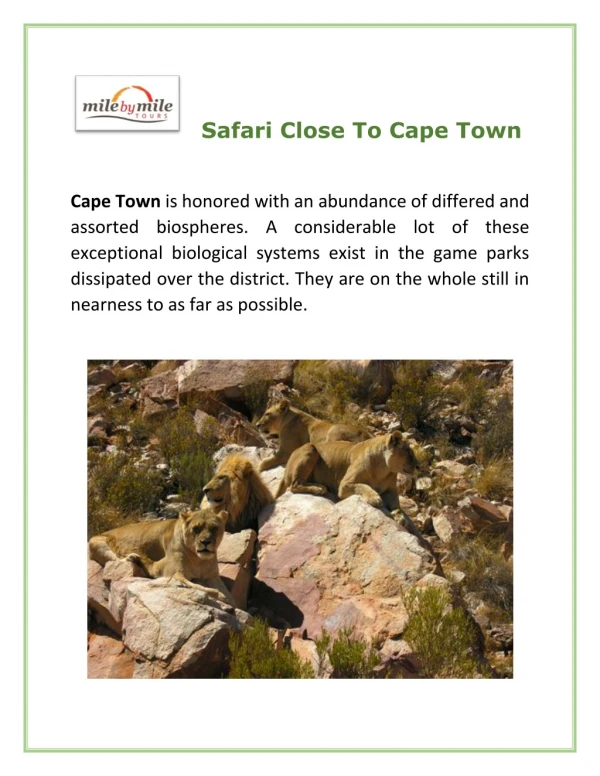 Best Safari Close To Cape Town | Milebymile