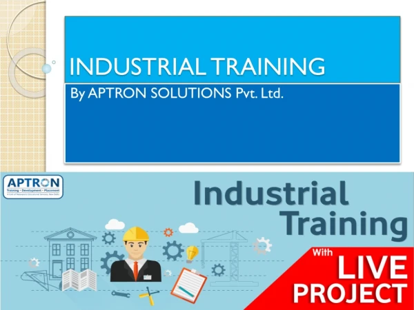 6 Months Weeks Industrial Training In Noida