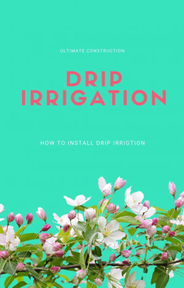 What is Drip Irrigation & How to install Drip Irrigation?