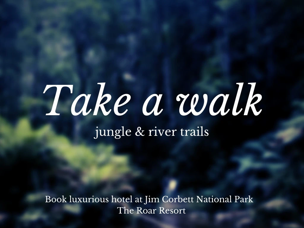take a walk jungle river trails