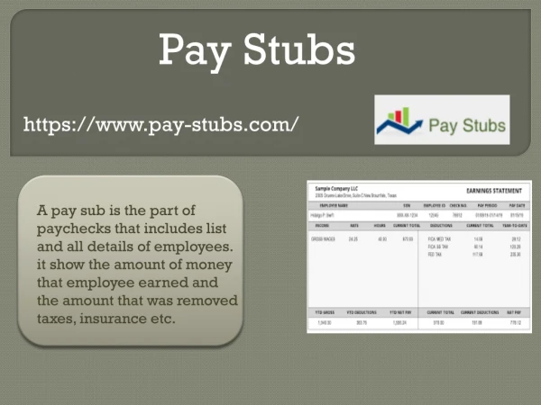 Pay Stub