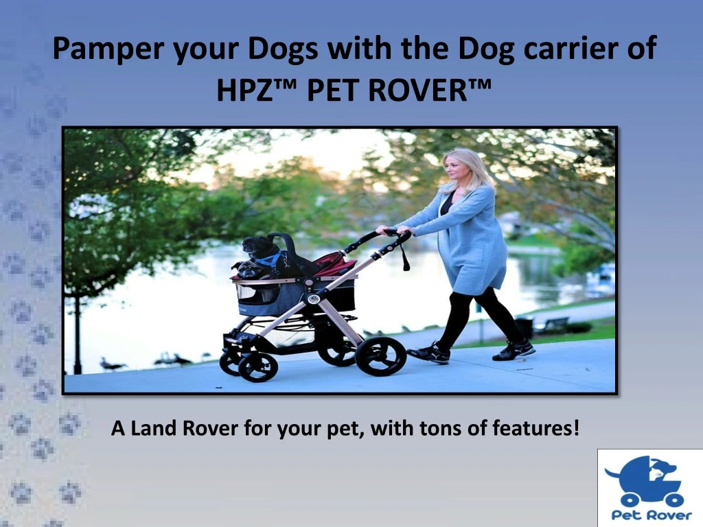 pamper your dogs with the dog carrier of hpz pet rover