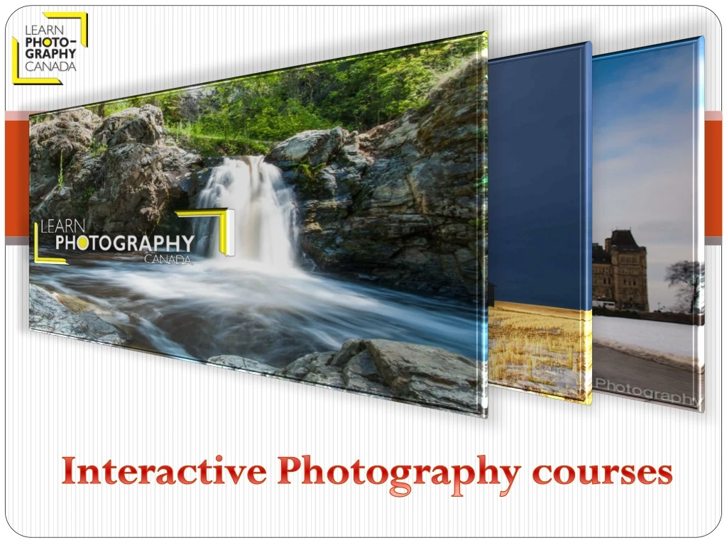 interactive photography courses