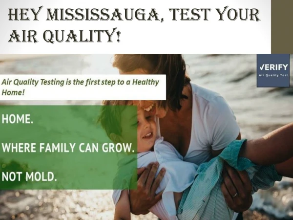 Air Quality Test Mississauga| Mold Inspection Mississauga