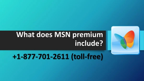 What does MSN Premium include?