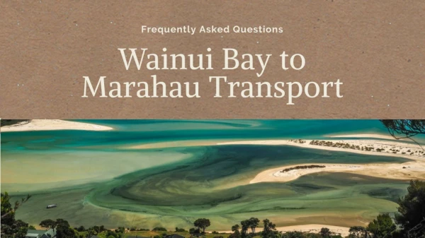 Take A Adventureous Trip To Wainui Bay & Marahau | Guide about Abel Track