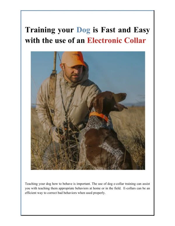 Training your Dog is Fast and Easy with the use of an Electronic Collar