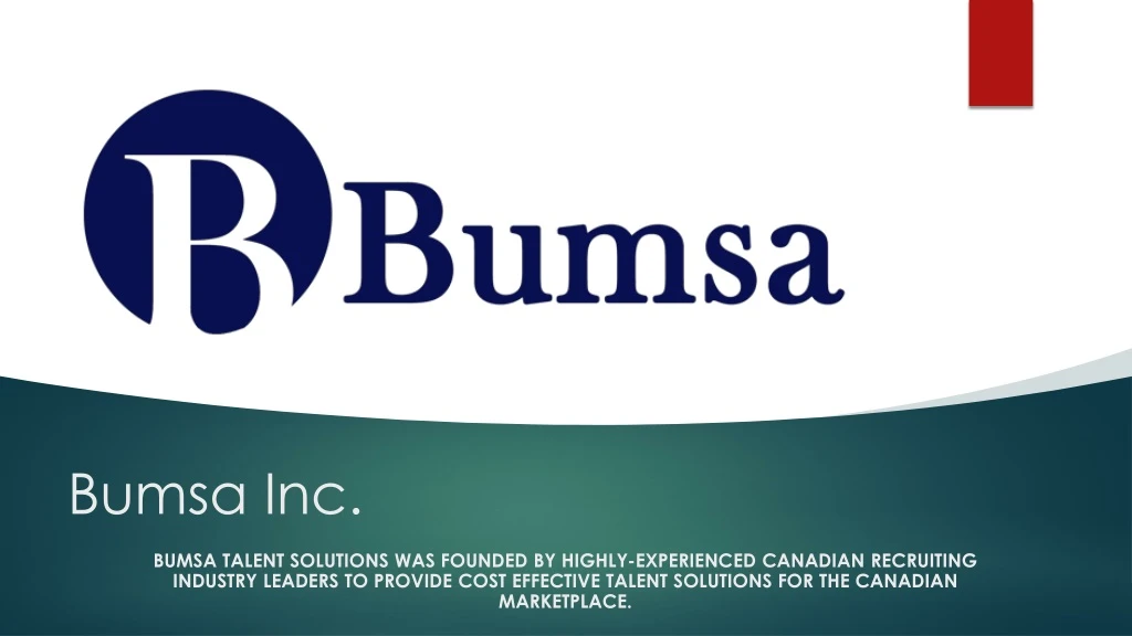 bumsa inc