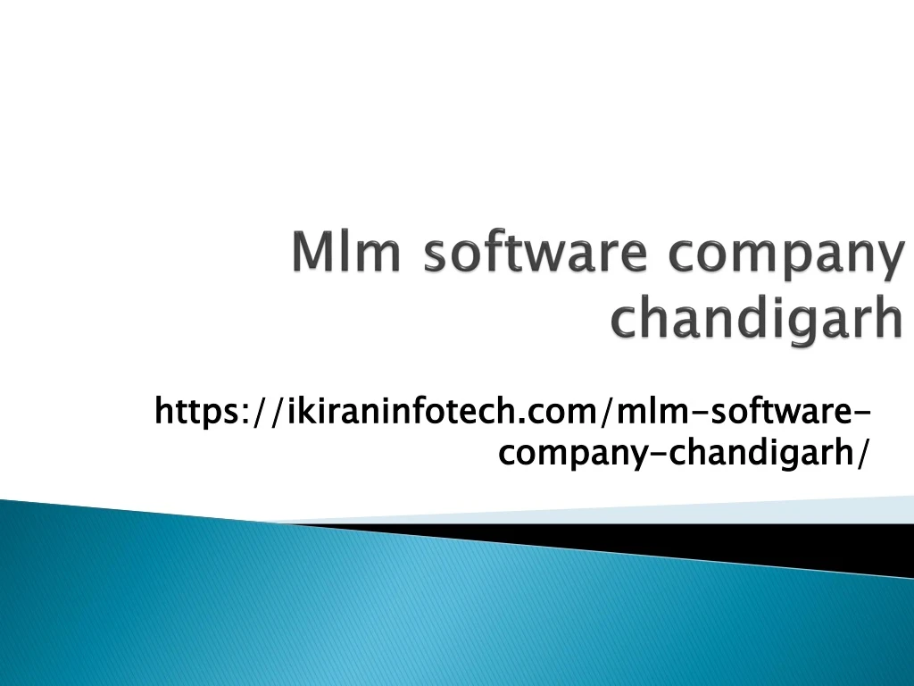 mlm software company chandigarh