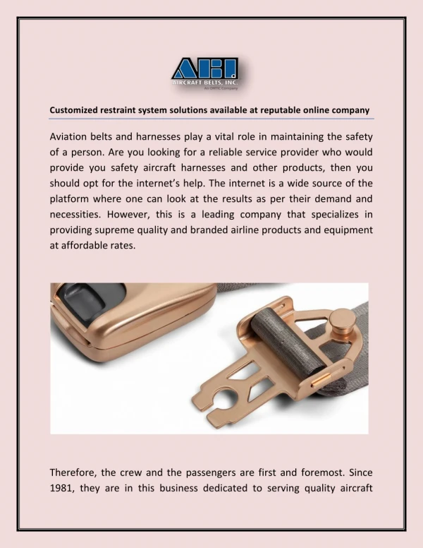 customized restraint system solutions available