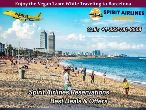 Enjoy the Vegan Taste While Traveling to Barcelona
