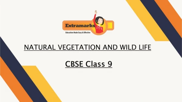 Interesting Presentation for Natural Vegetation and Wildlife with the Help of Extramarks