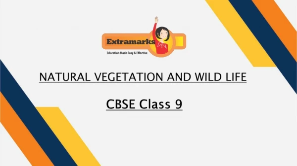 Comprehensive Yet Interesting Presentation for Natural Vegetation and Wildlife