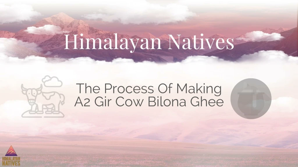 himalayan natives