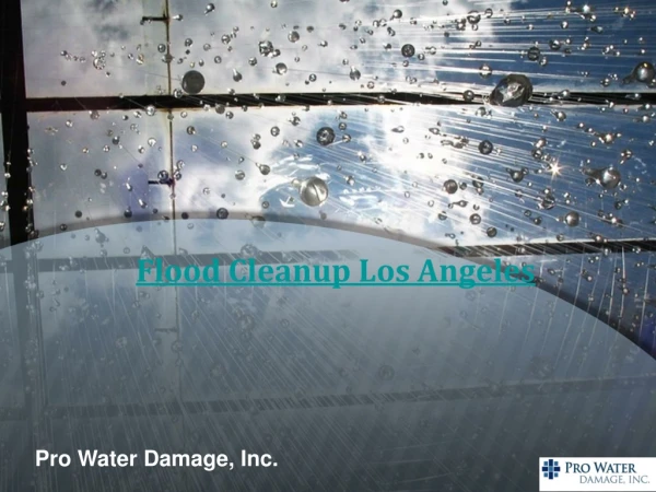 Flood Cleanup Los Angeles