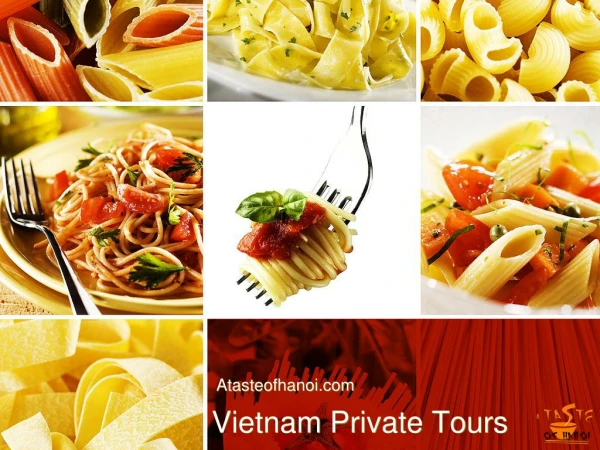 Vietnam Privet Tours