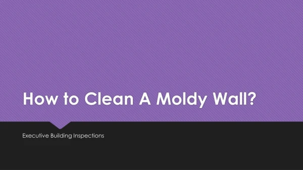Mold Removal Services Charlotte NC