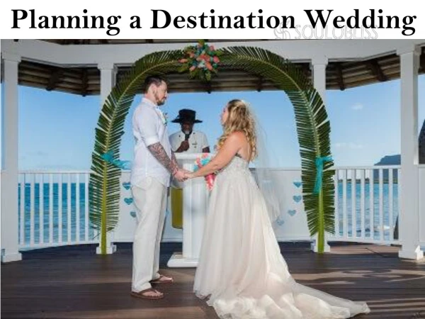 Skillful Caribbean Wedding Planner