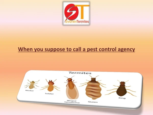 When you suppose to call a pest control agency