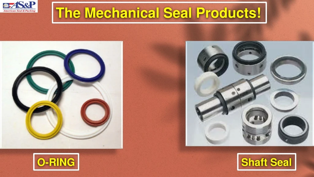 the mechanical seal products