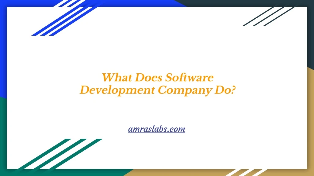 what does software development company do