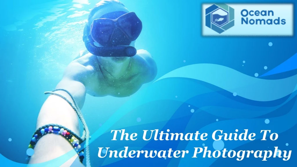 the ultimate guide to underwater photography