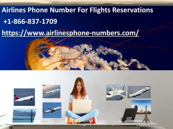 Airlines Phone Number For Flights Reservations