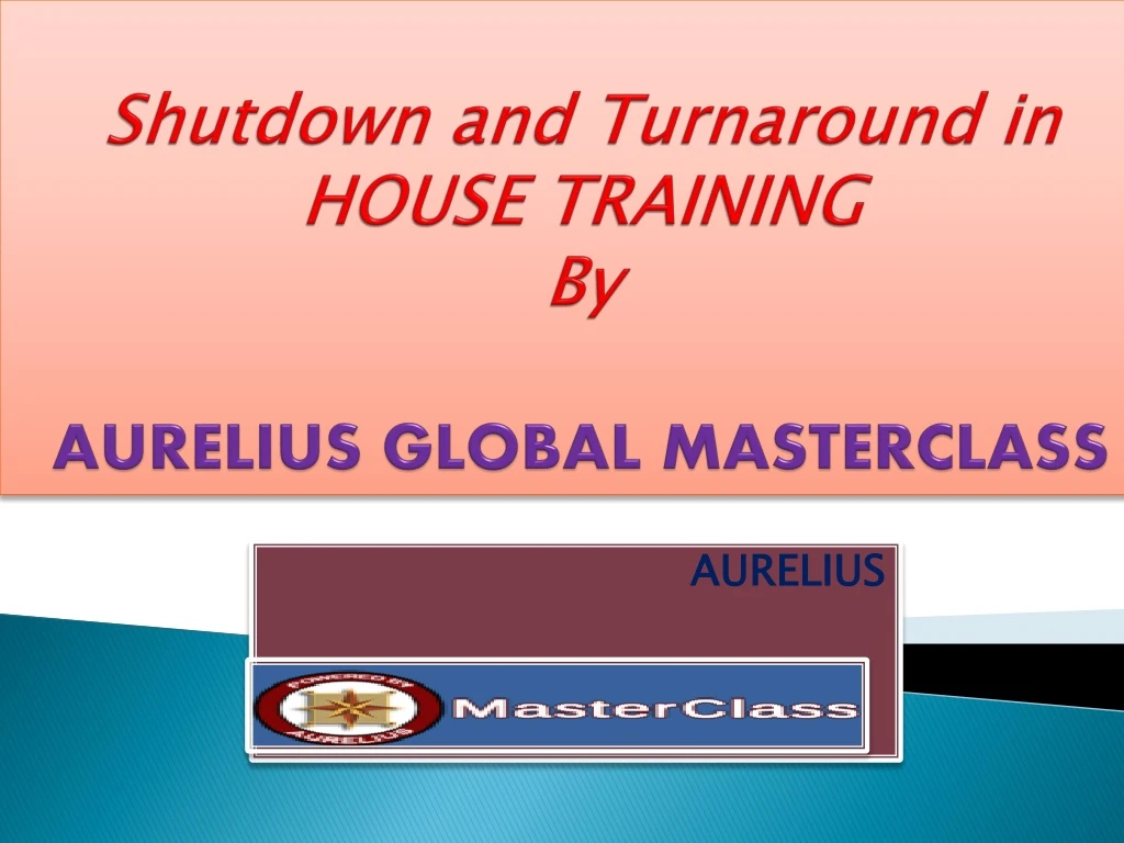 shutdown and turnaround in house training by aurelius global masterclass