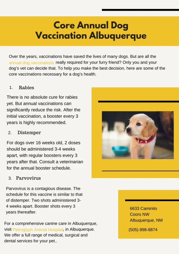 Core Annual Dog Vaccination Albuquerque