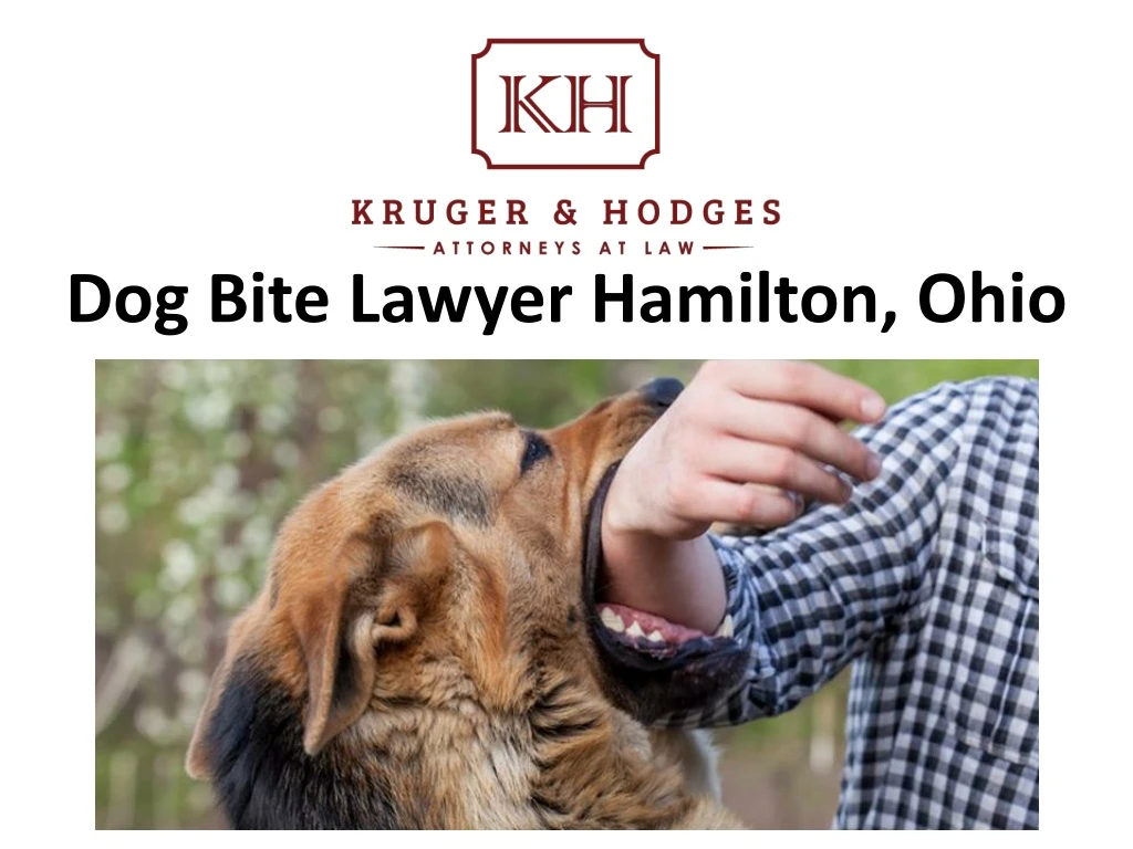 dog bite lawyer hamilton ohio