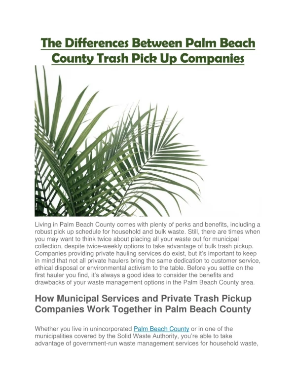 The Differences Between Palm Beach County Trash Pick Up Companies