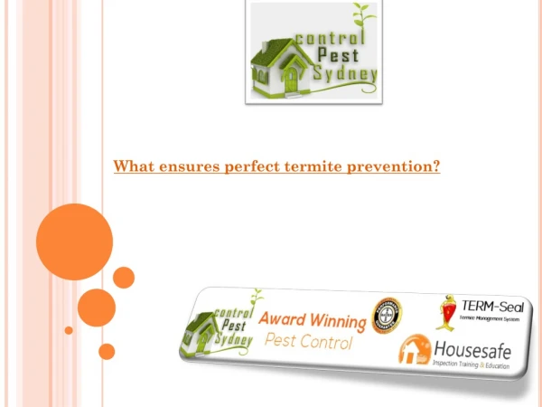What ensures perfect termite prevention?