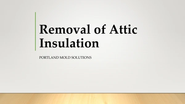 Attic Mold Removal Service Hillsboro OR