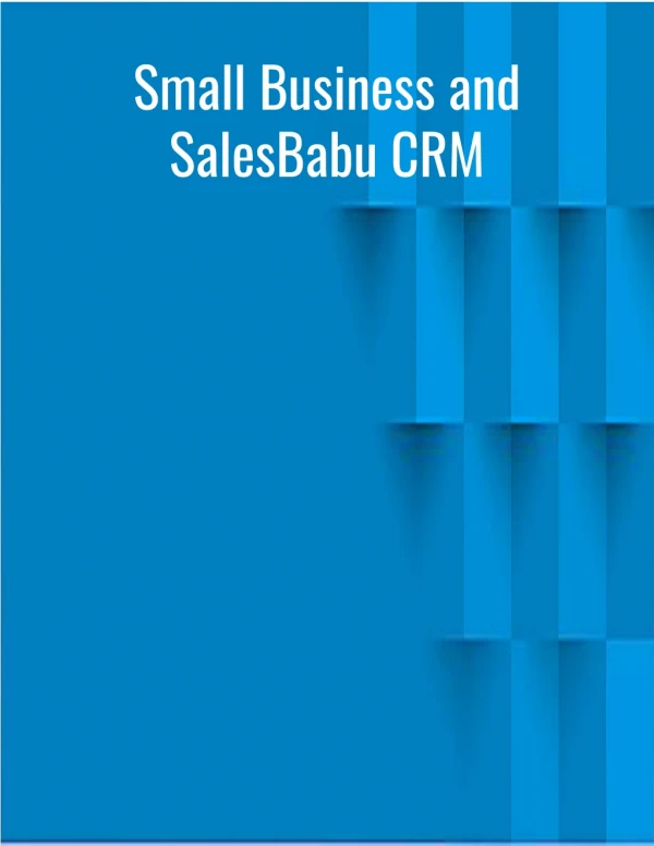 Small Business and SalesBabu CRM