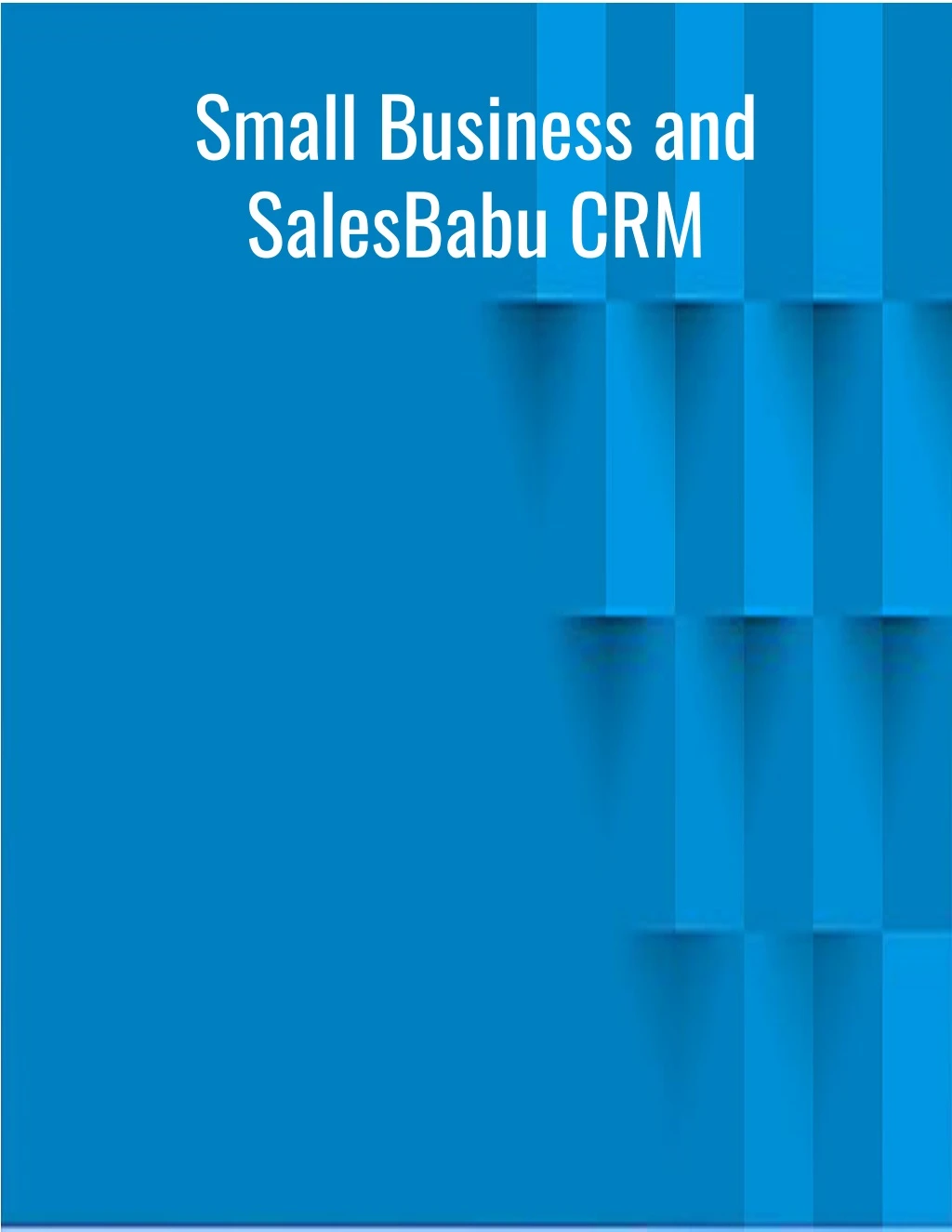 small business and salesbabu crm