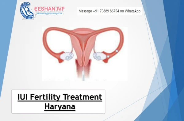 IUI Fertility Treatment Haryana