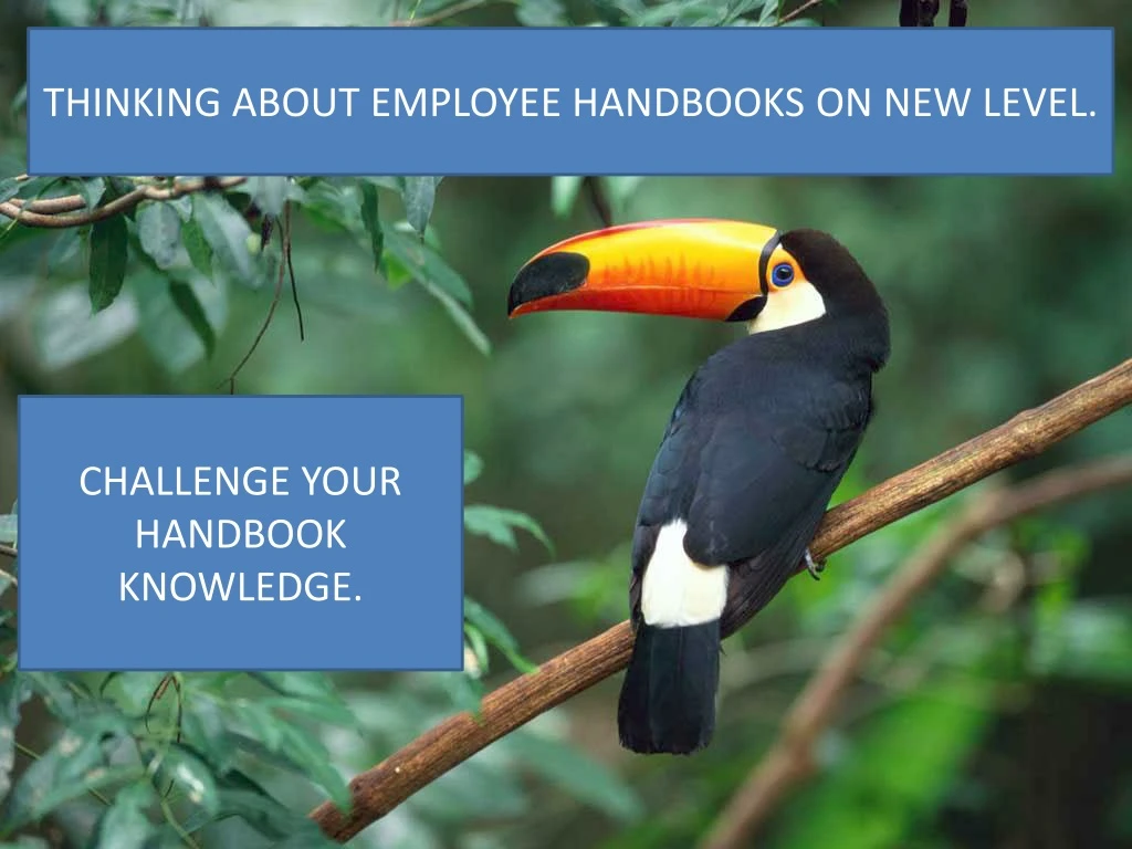 employee handbooks ten common mistakes