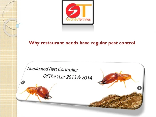 Why restaurant needs have regular pest control