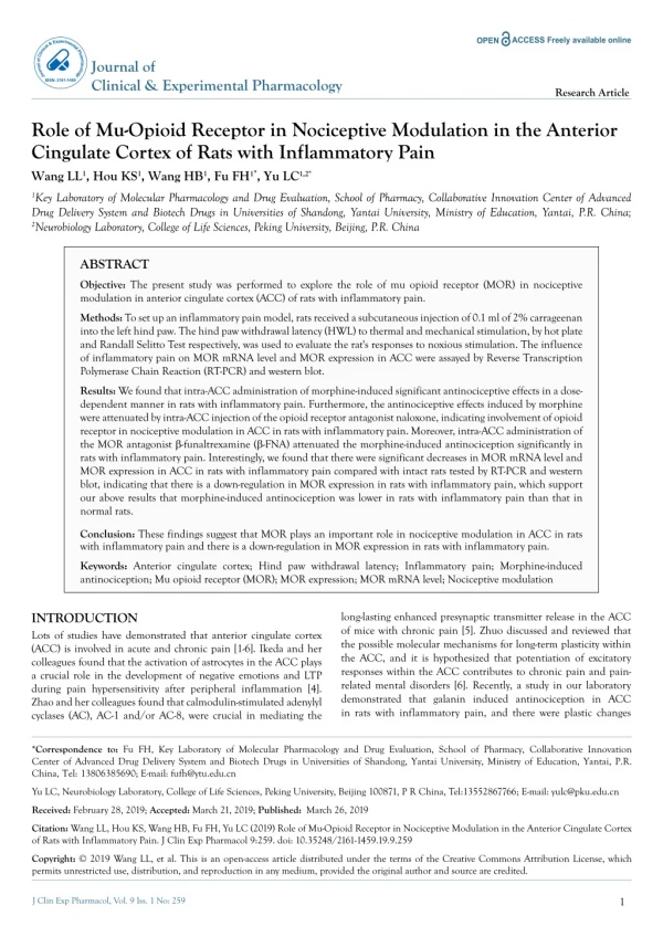 Role of Mu-Opioid Receptor in Nociceptive Modulation in the Anterior Cingulate Cortex of Rats with Inflammatory Pain