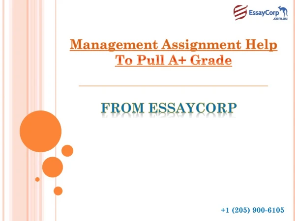 Best Management Assignment Help from EssayCorp