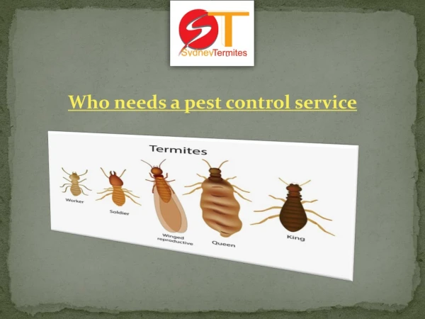 Who needs a pest control service