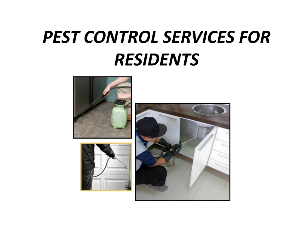 pest control services for residents